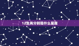 12生肖分别是什么星座，12生肖对应的星座