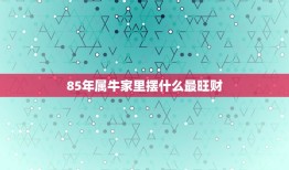 85年属牛家里摆什么最旺财，85年属牛的和什么属相最配