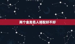 两个金龙名人婚配好不好，两个人都是属大龙的结婚好不好？