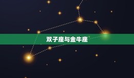 双子座对什么星座最配(星座配对大介绍)