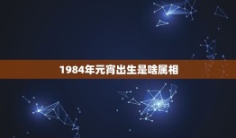 1984年元宵出生是啥属相，1984年属相？