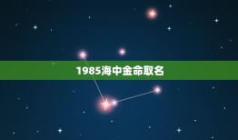 1985海中金命取名，我是海中金命名字带什么好啊