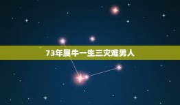 73年属牛一生三灾难男人，73年属牛的最大劫数