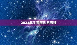 2023年牛宝宝乳名男孩，2023年牛宝宝起名