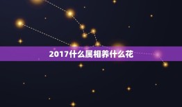 2017什么属相养什么花，属羊养什么花能旺财