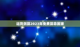 运势测算2023年免费算命属猪，属猪2019年八字算命