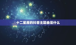 十二星座的抖音主题曲是什么，十二星座情侣配对表