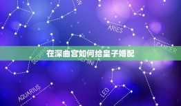 在深曲宫如何给皇子婚配，深宫曲怎么把皇帝