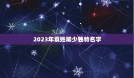 2023年袁姓稀少独特名字，袁姓女孩取名