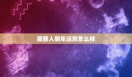 属猴人明年运势怎么样，属猴明年运势2023