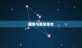 属猴的与什么属相相合(十二生肖配对大介绍)