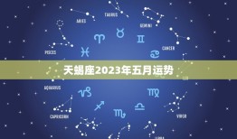 天蝎座2023年五月运势，天蝎座二0二一年五月运势