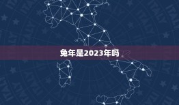 兔年是2023年吗