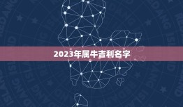 2023年属牛吉利名字，2023属牛男孩最吉利的名字