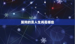 属狗的贵人生肖是哪些(介绍狗年合作生肖)