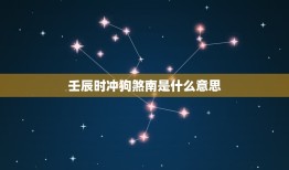 壬辰时冲狗煞南是什么意思