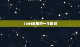 1994属狗的一生婚姻，94年属狗的婚姻那个方向好