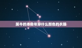 属牛的本命年穿什么颜色的衣服，本命年的大忌属牛穿什么颜色