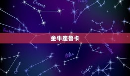 十二星座代表的叶罗丽(星座守护神的魔法之旅)