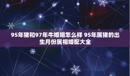 95年猪和97年牛婚姻怎么样 95年属猪的出生月份属相婚配大全