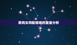 男狗女鸡配婚姻好不好(讨论星座配对是否决定命运)