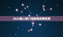 2023能上热门涨粉丝的网名男，2023年最流行网名男