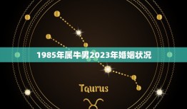 1985年属牛男2023年婚姻状况，2023从什么时候开始属牛？