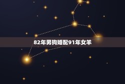 82年男狗婚配91年女羊，82年的男狗狗与91年的羊相配吗，