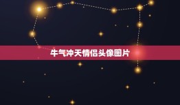 牛气冲天情侣头像图片，求这个情侣头像的另一张