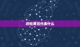 时柱癸丑代表什么，八字中癸丑代表什么