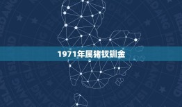 1971年属猪钗钏金(猪年财运旺钗钏金饰更添辉煌)