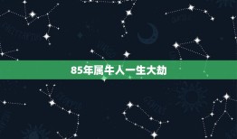 85年属牛人一生大劫，1985年属牛人未来10年 八五年生人福气还是比