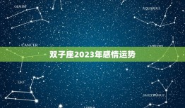 双子座2023年感情运势，双子座2023爱情运势