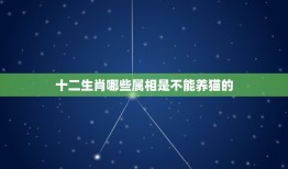 十二生肖哪些属相是不能养猫的，什么属相不能养猫