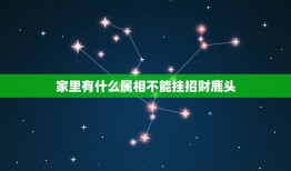 家里有什么属相不能挂招财鹿头，貔貅适合什么生肖人戴最招财？求科普一下