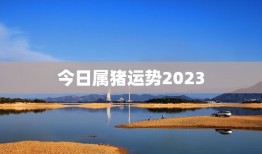 今日属猪运势2023