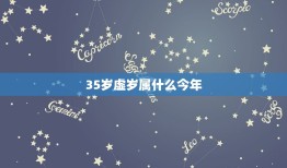 35岁虚岁属什么今年(如何理解虚岁和实岁的区别)