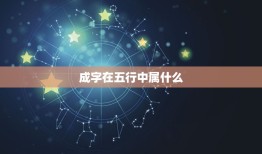 成字在五行中属什么，大字在五行中属什么