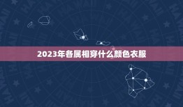 2023年各属相穿什么颜色衣服，2023属鸡适合穿什么颜色？