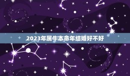 2023年属牛本命年结婚好不好，牛年本命年结婚可以吗