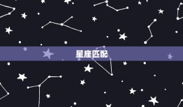 双子座和谁是天生一对(寻找星座匹配)