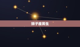 爱狮子女的星座男(独具眼光独占爱情天空)