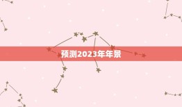 预测2023年年景，2023年是什么命