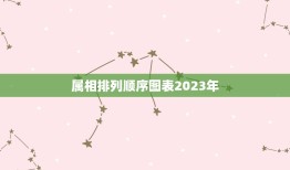 属相排列顺序图表2023年，2023十二生肖岁数年龄表？