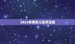 2023年男孩儿名字王姓(讨论王姓作为名字的含义和流行趋势)