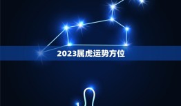 2023属虎运势方位(猛虎崛起财运亨通)