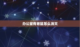 办公室有老鼠怎么消灭(快速有效的方法)