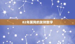 82年属狗的发财数字，1982年属狗生肖幸运数字是多少？