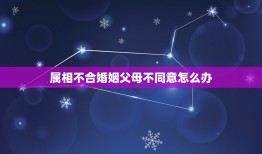 属相不合婚姻父母不同意怎么办，因为属相不合父母反对的感情怎么办