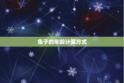 属性兔子今年多大岁数(介绍这只兔子的年龄到底有多大)